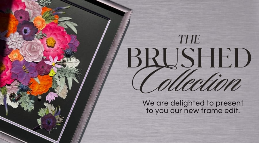 Brushed Frame Collection - DBANDREA