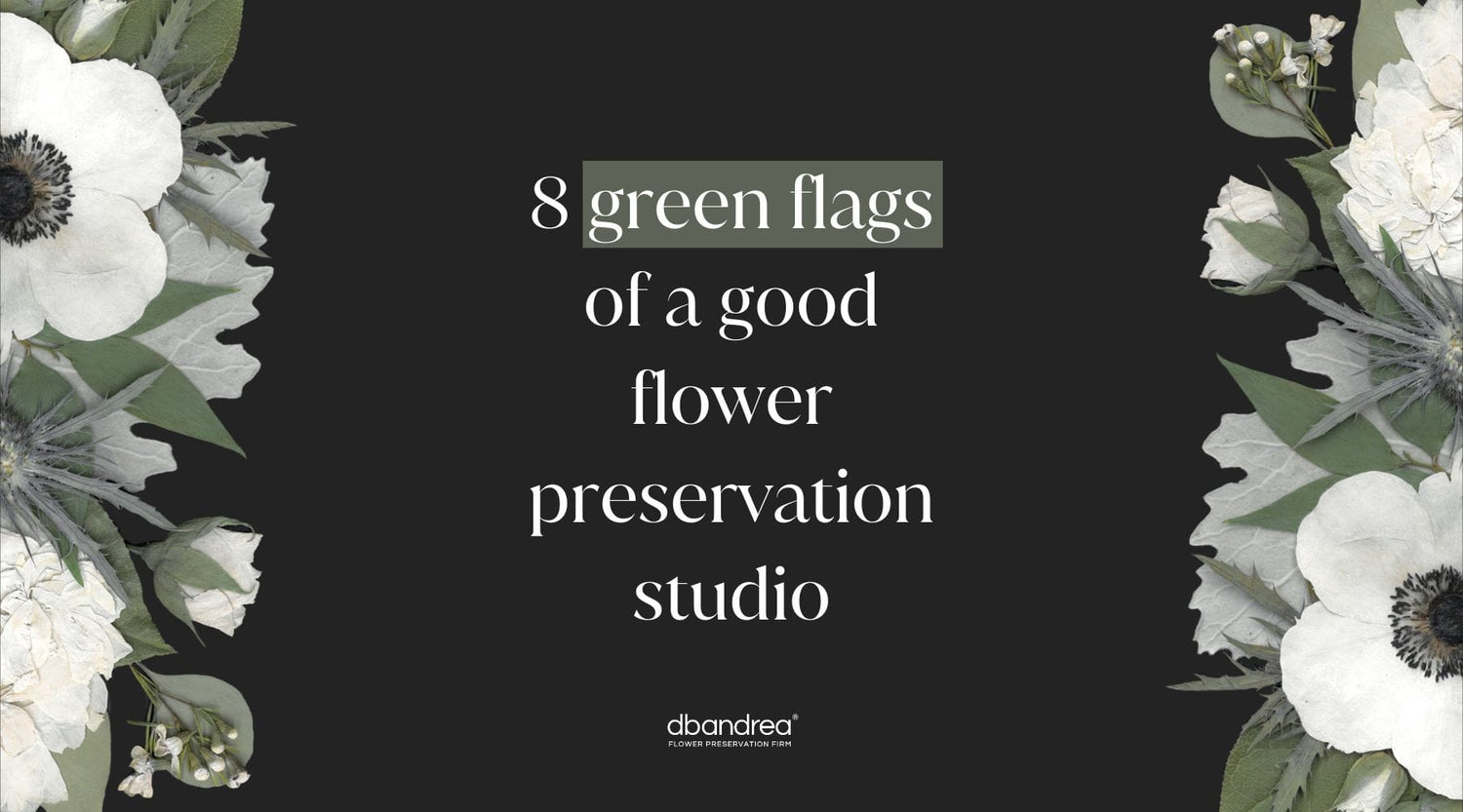 8 Green Flags of a Good Flower Preservation Studio