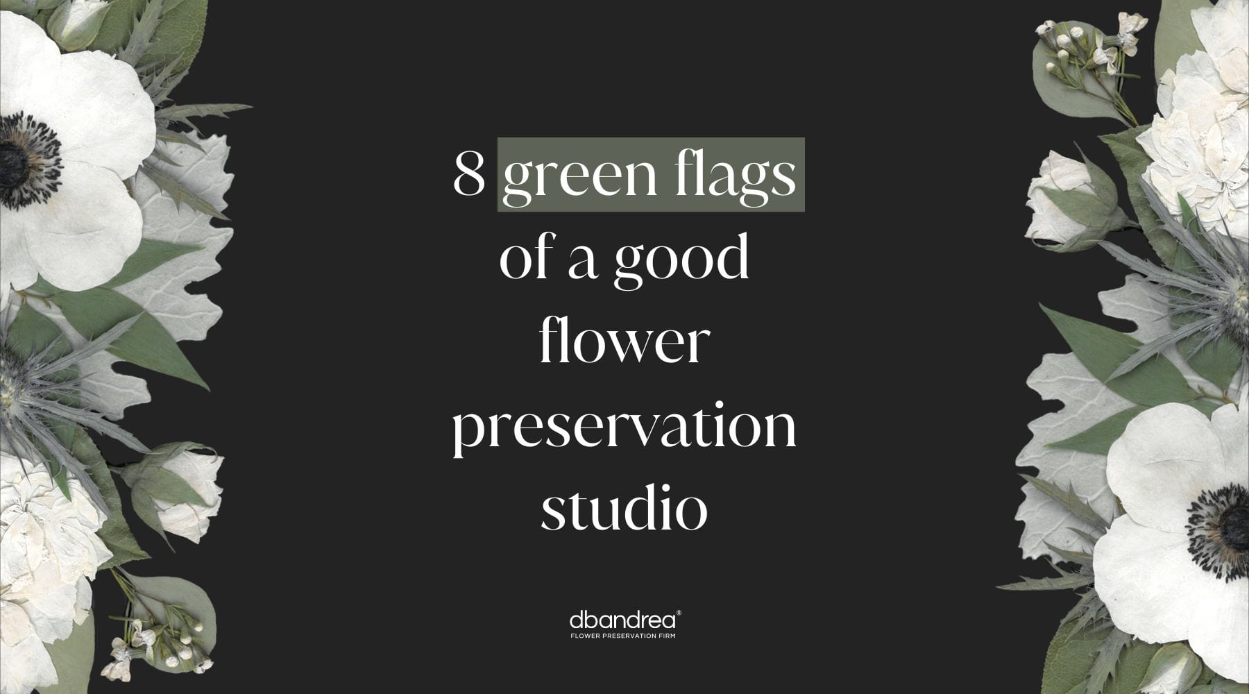 8 Green Flags of a Good Flower Preservation Studio