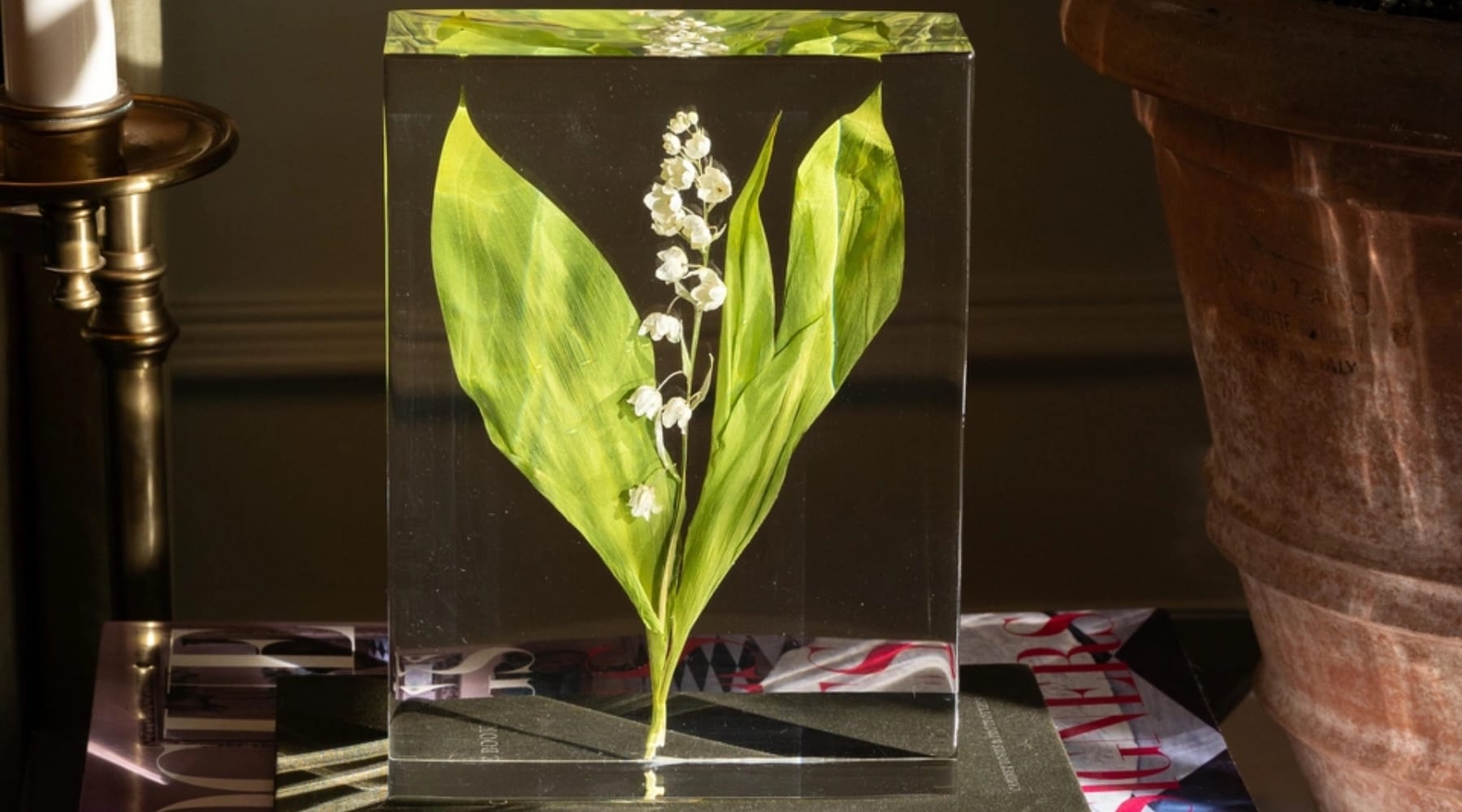 Lily Of The Valley Resin Block Preservation - DBANDREA