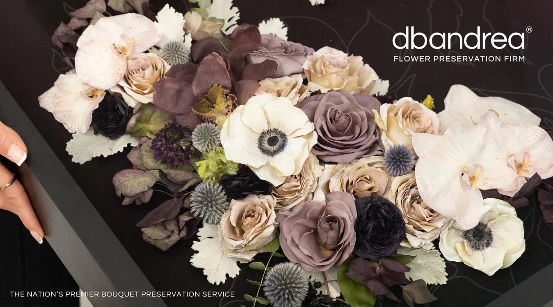 Press 3d Floral Preservation - dbandrea