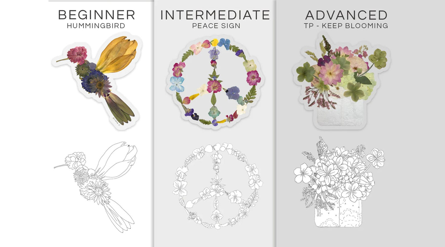 Floral Coloring Sheets - DBandrea