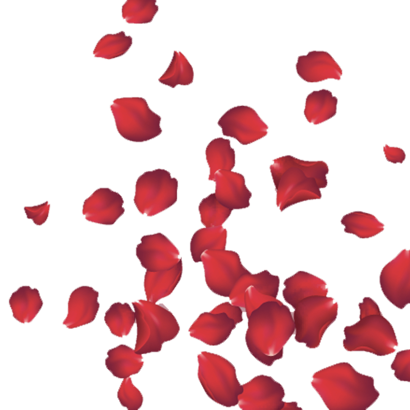 Red Flowing Flower Petals - Designs By Andrea