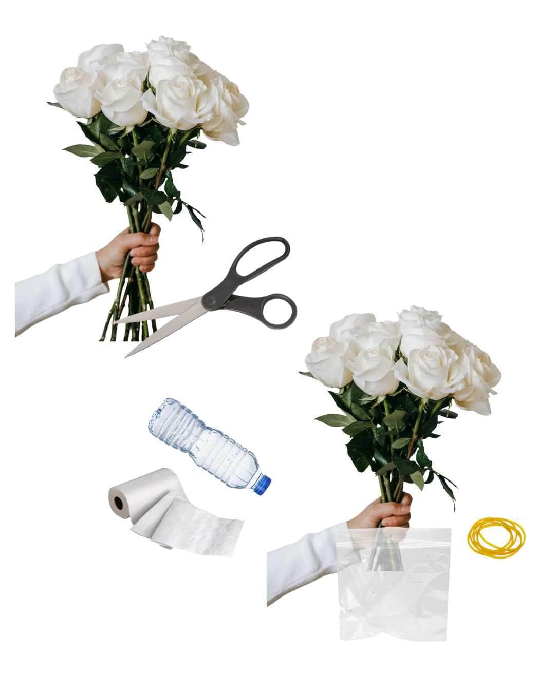 How To Prepare Your Flowers For Shipping For Bouquet Preservation - Dbandrea