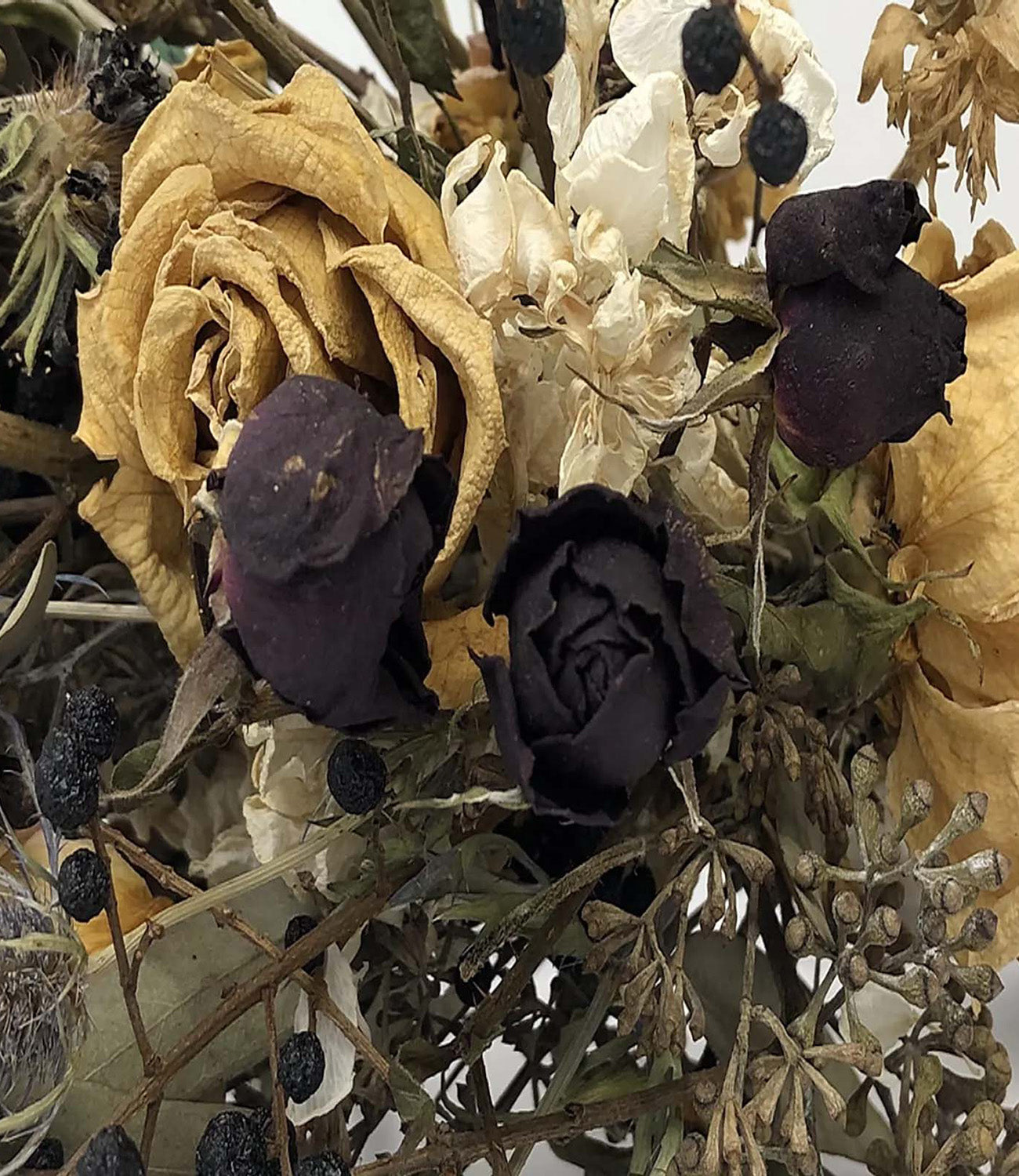 Air Dried Flower Preservation - DBAndrea