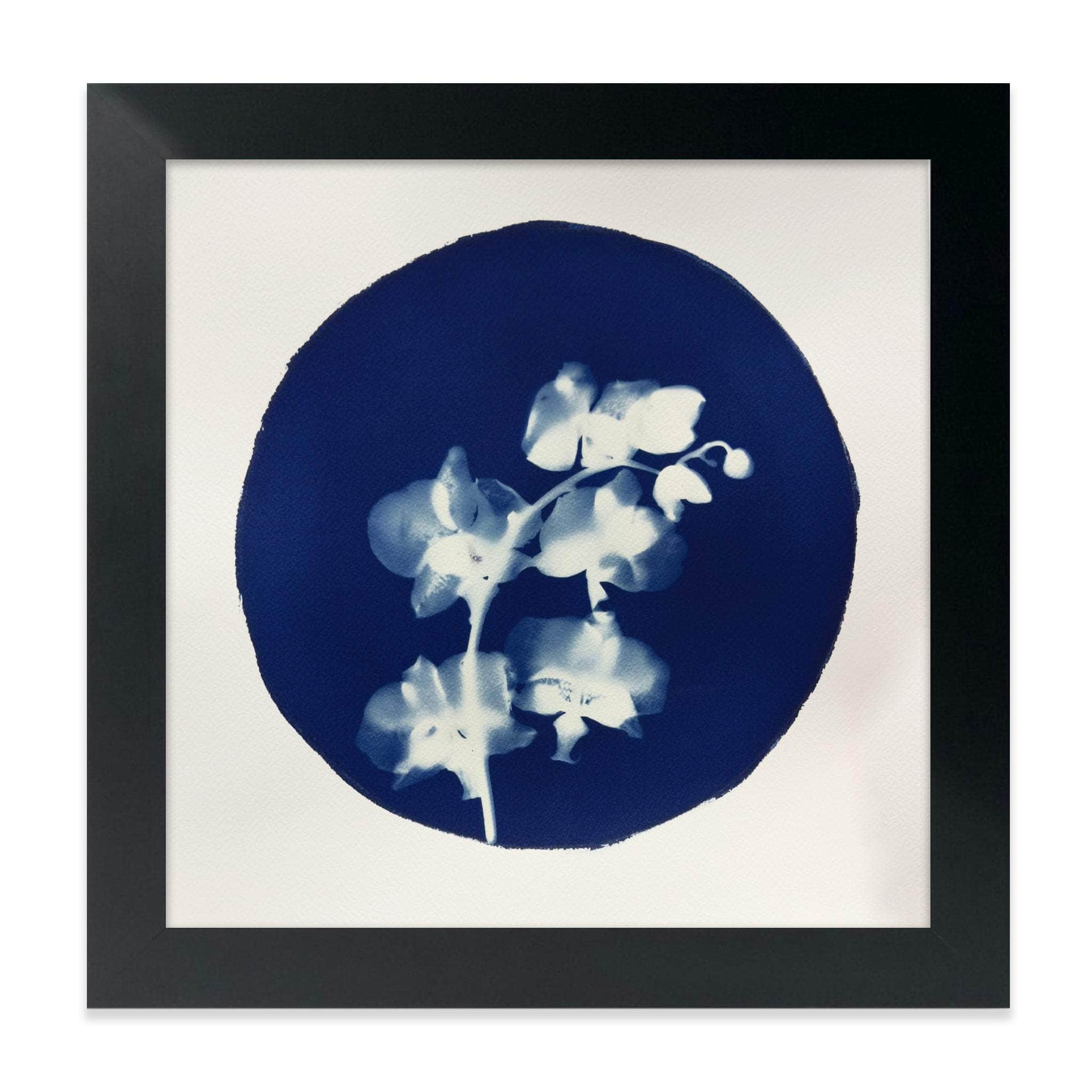 dbandrea After-Glow 12" x 12" After-Glow Fine Art Painting