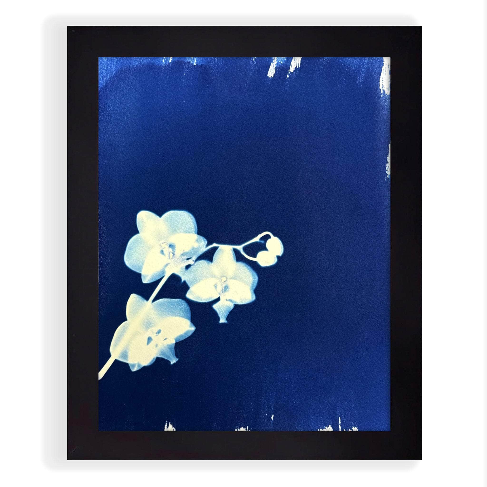 dbandrea After-Glow 8" x 10" After-Glow Fine Art Painting