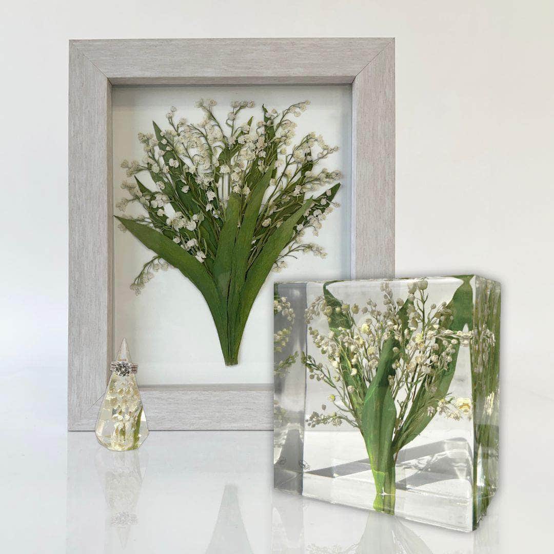 DBANDREA Bundle Small Haven – Small Bundle - Dbandrea