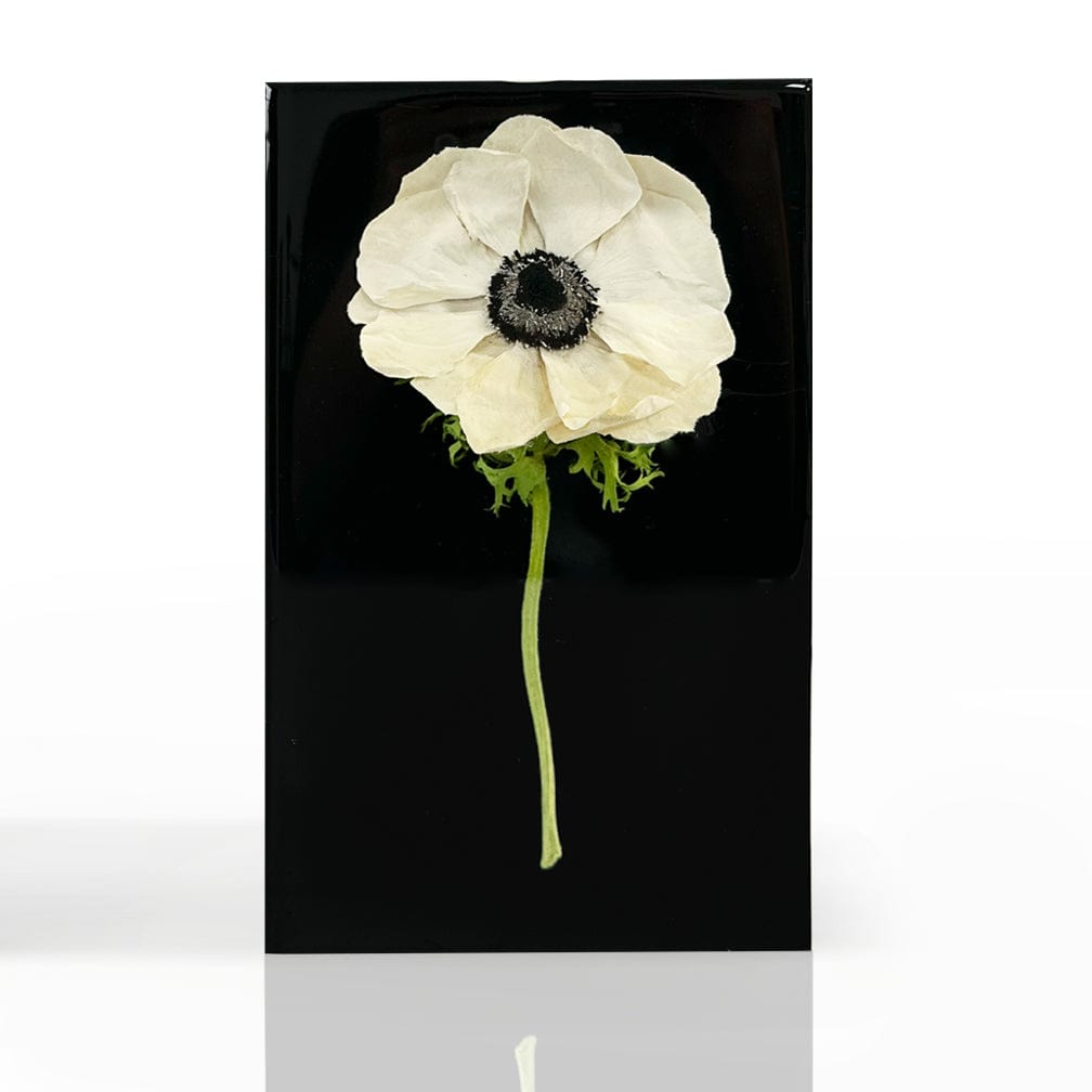 dbandrea Floral Block 8" x 5" Rectangle