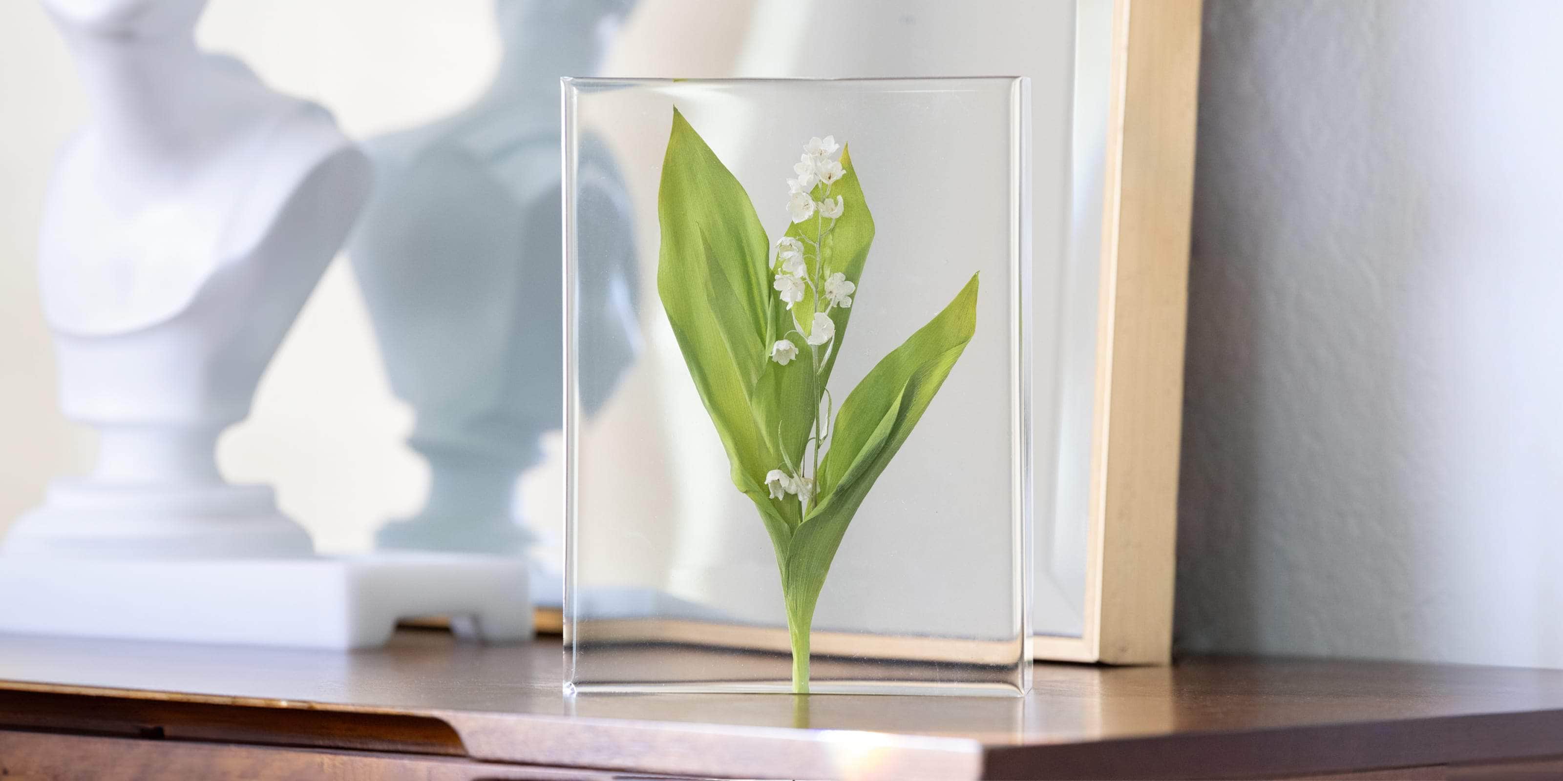 Lily of the valley preserved in resin block - dbandrea