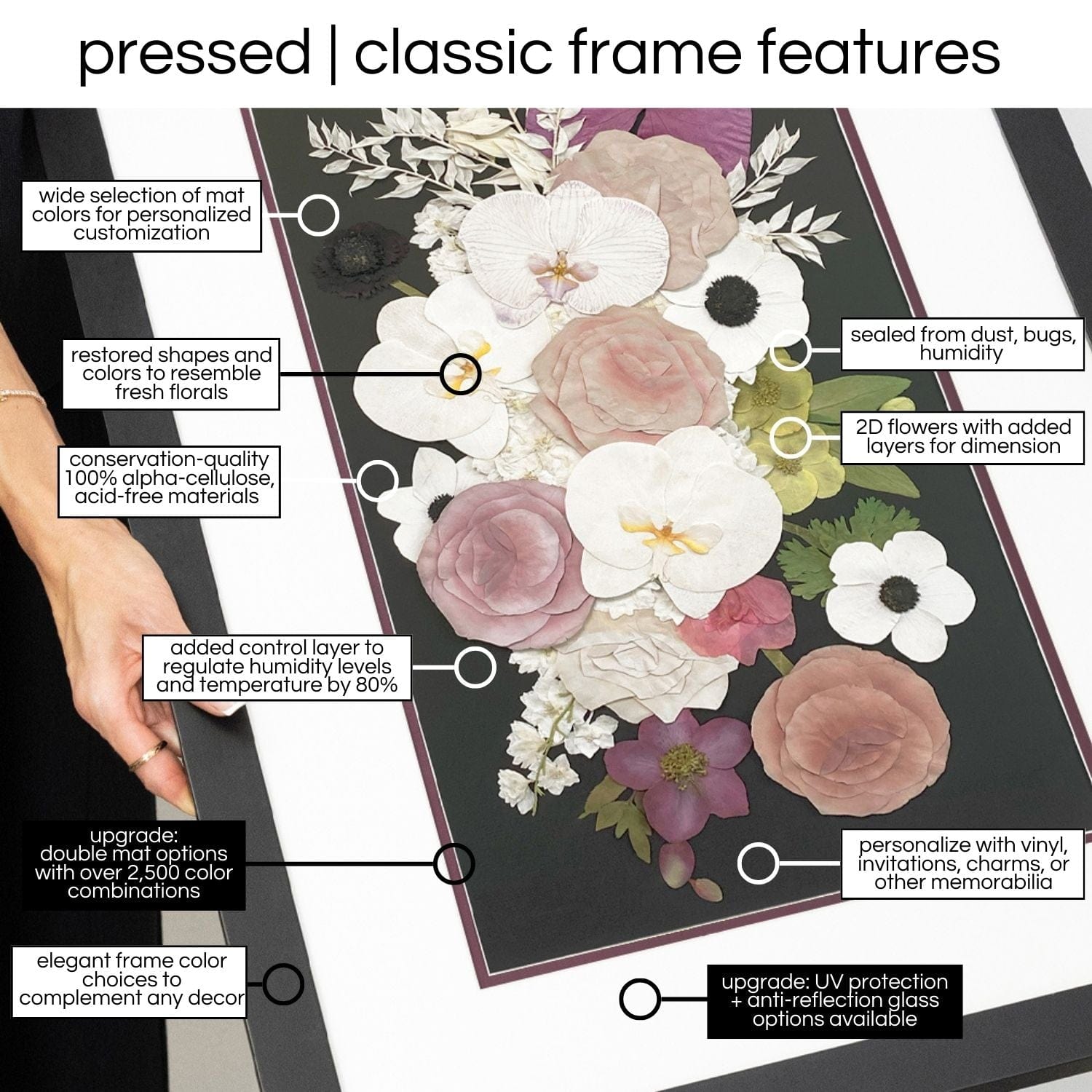 dbandrea Pressed (Framed) 11" x 14" Classic Frame