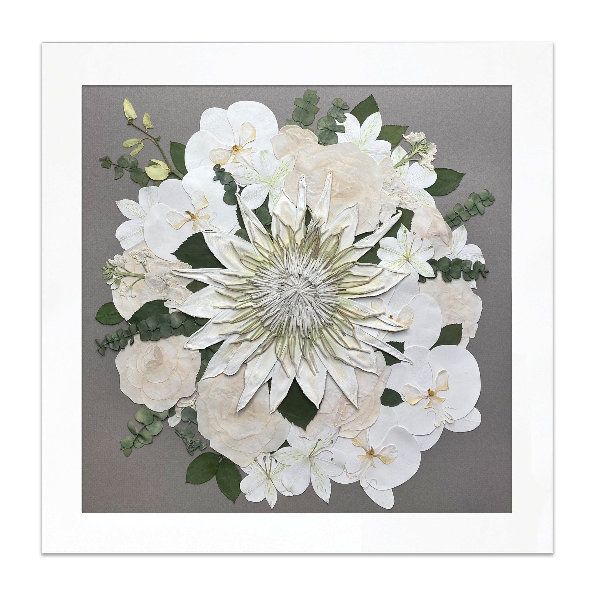 dbandrea Pressed (Framed) 16" x 16" Classic Frame