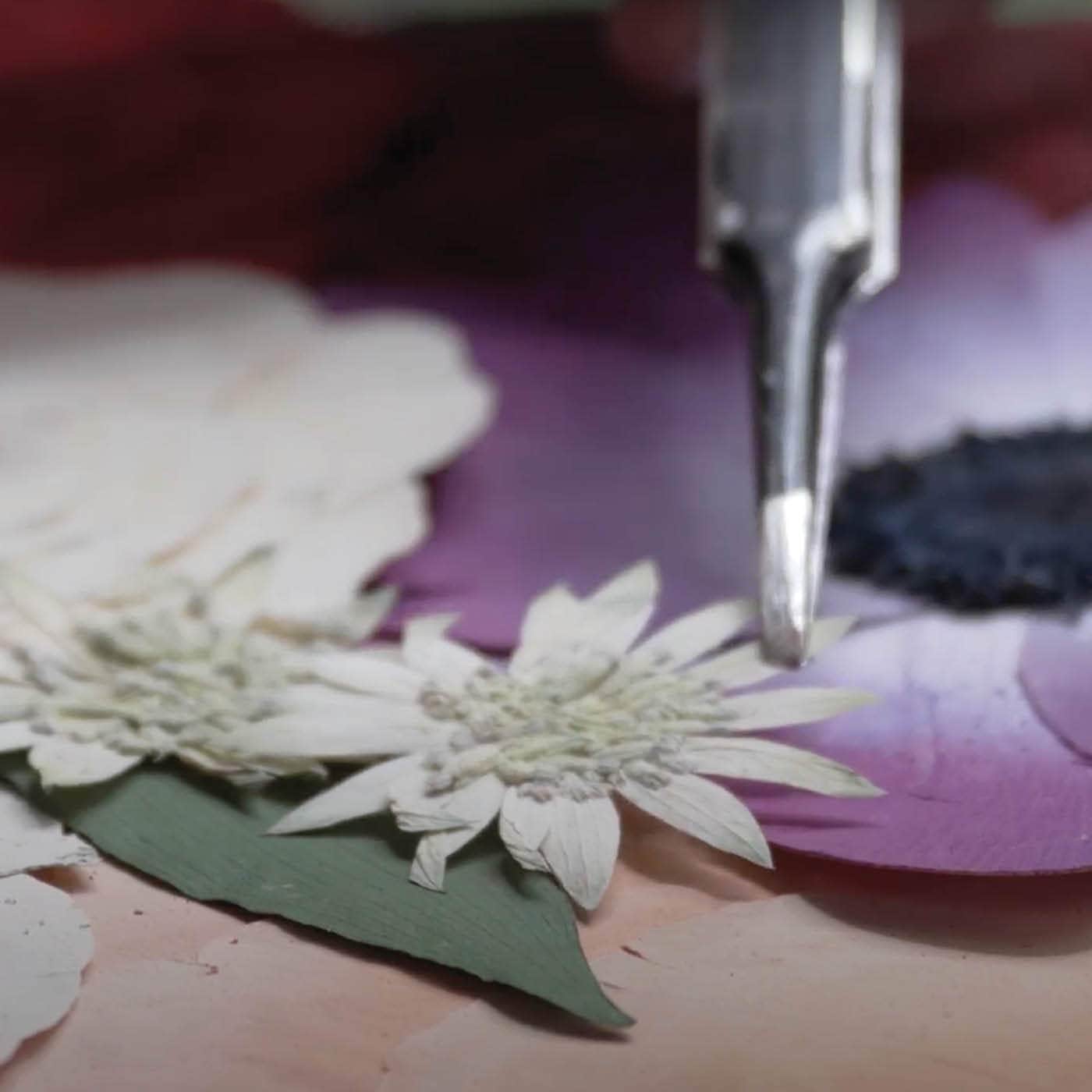 Wedding Bouquet Preservation - Designs By Andrea