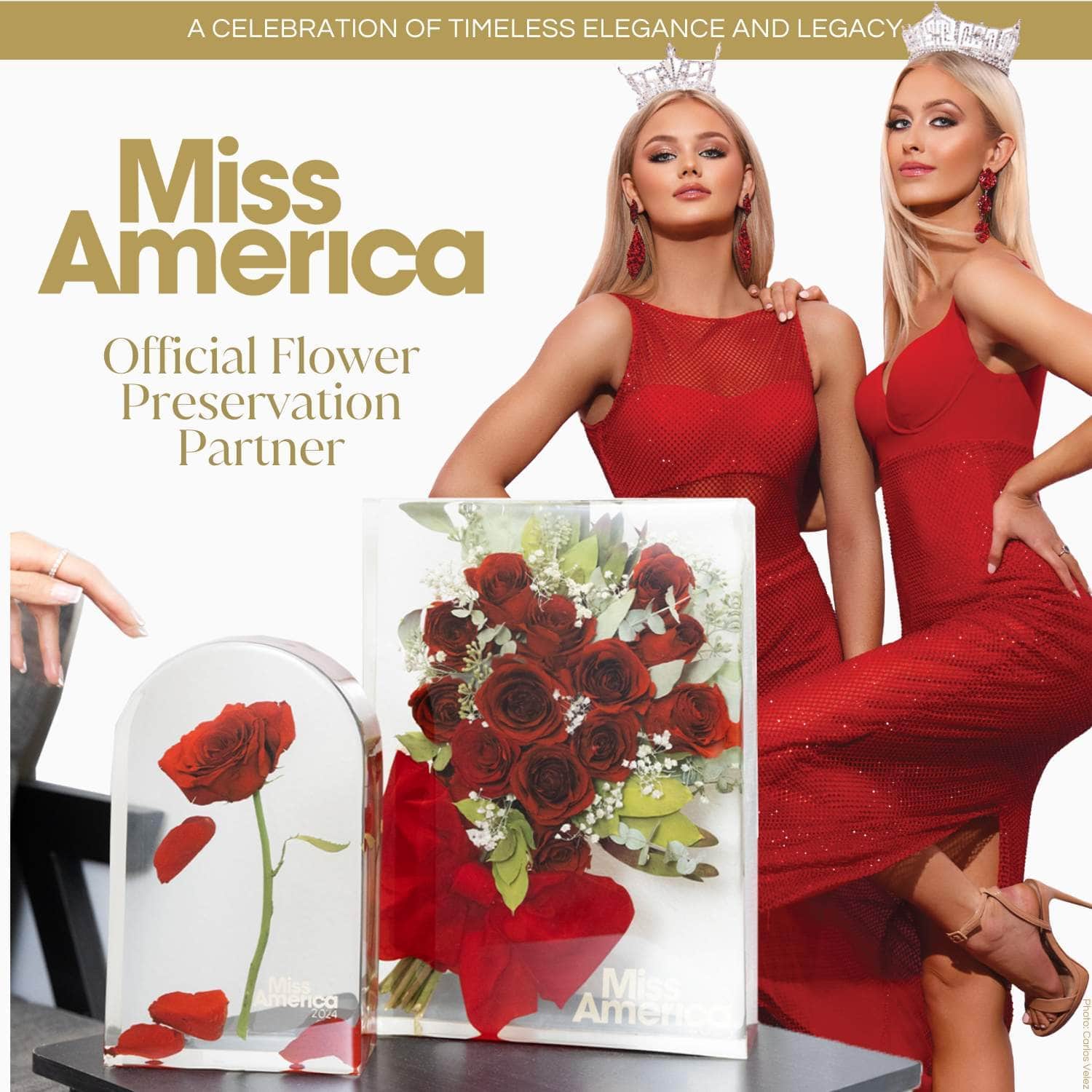 Miss America Flower Preservation - dbandrea