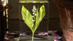 Preserving the Most Iconic Flower: Lily of the Valley