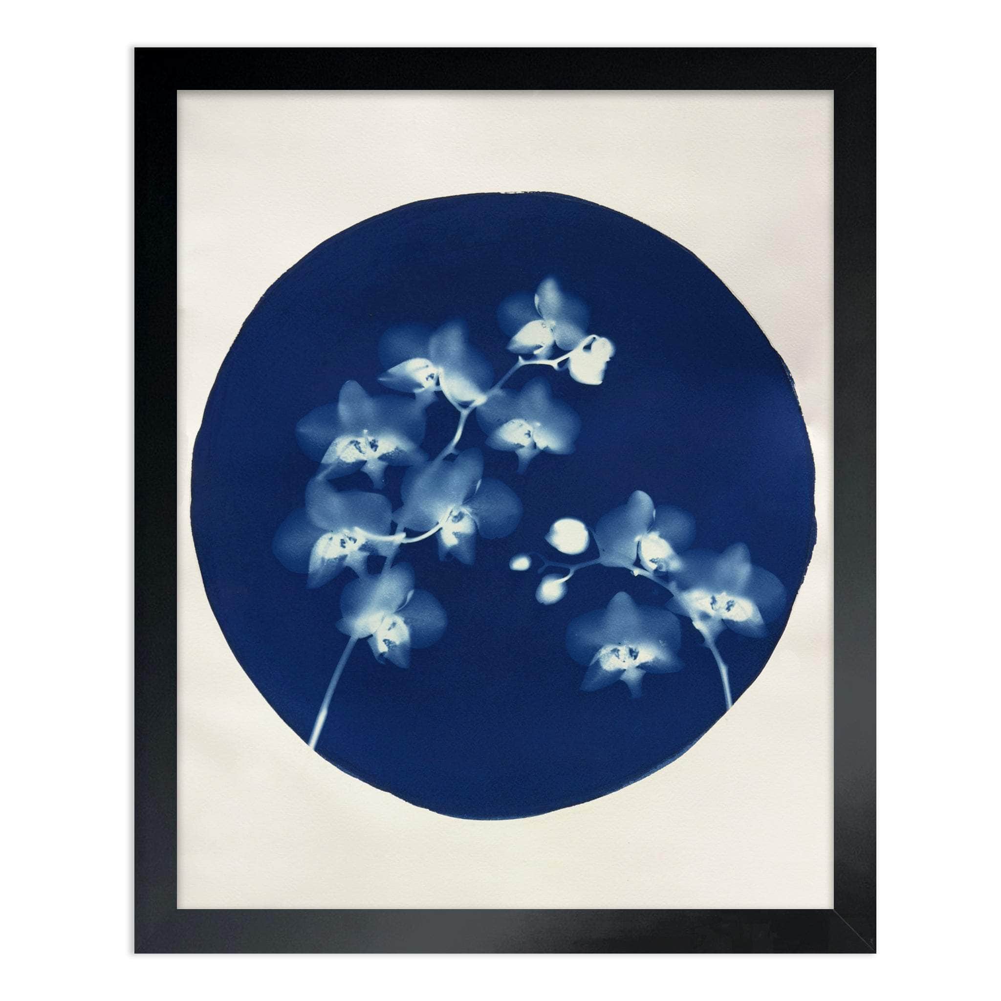 dbandrea After-Glow 16" x 20" After-Glow Fine Art Painting