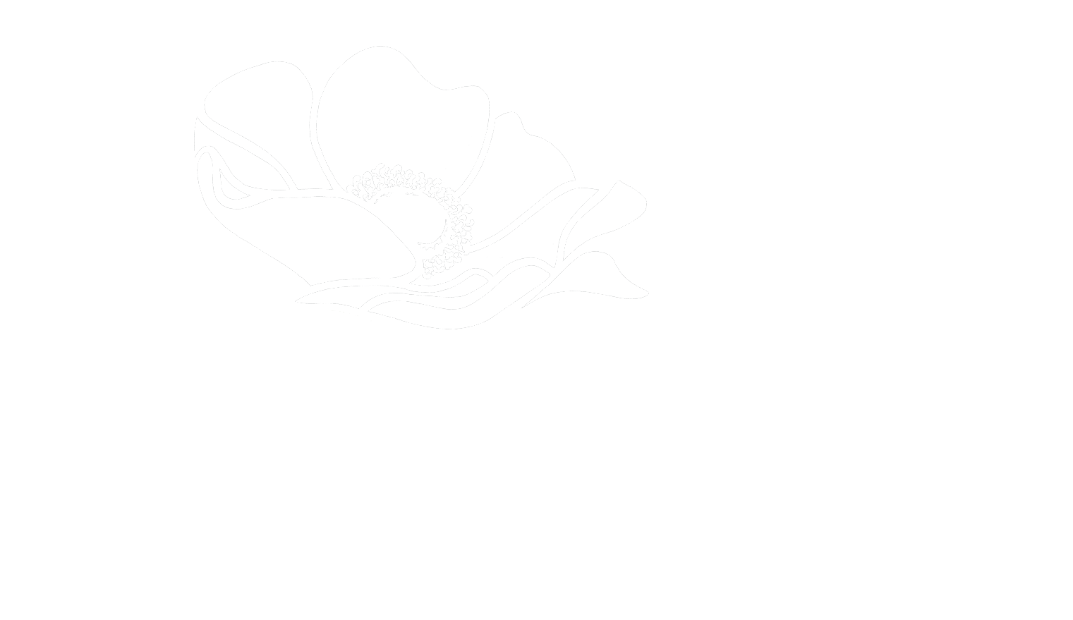 DBA Logo White - Designs By Andrea
